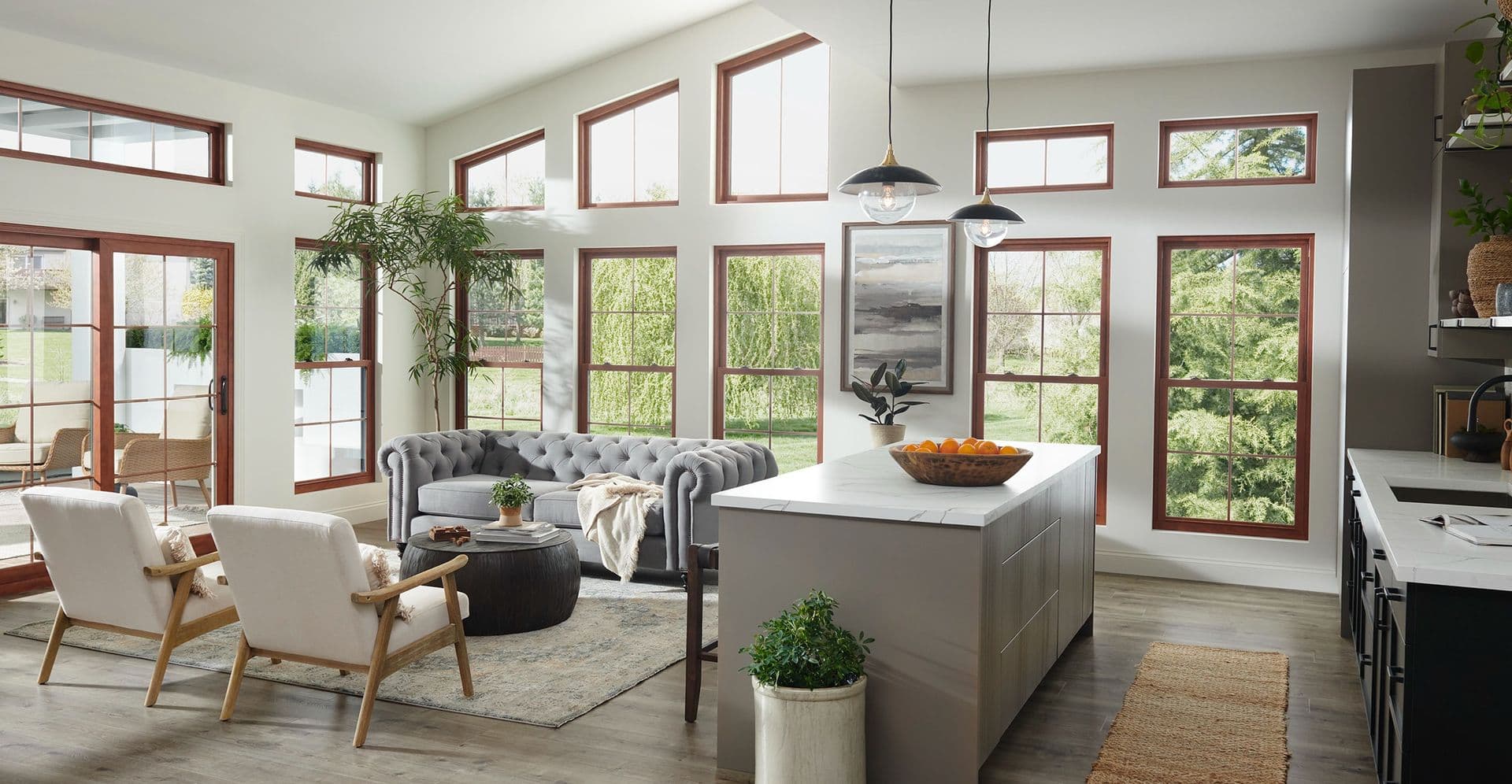interior_living_room_double_hung_window_specialty_shapes_window