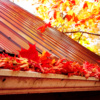Home Winter-Ready Checklist | Legendary Doors & Windows